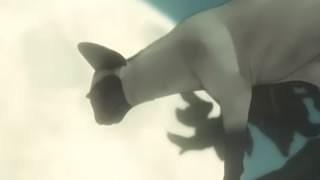 Netflix surprises us with a bonus Sandman episode